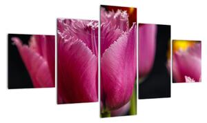 Tulipány - obrazy (125x70cm)