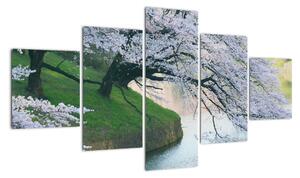 Obraz kvetoucích stromů (125x70cm)