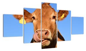 Obraz krávy (125x70cm)