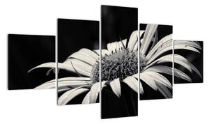 Černobílý obraz květu (125x70cm)
