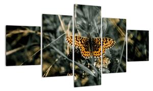 Obraz motýla (125x70cm)