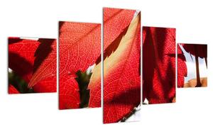 Obraz červených listů (125x70cm)