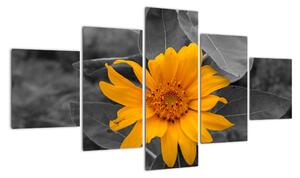 Obraz oranžového květu (125x70cm)