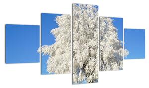 Zasněžený strom - obraz (125x70cm)