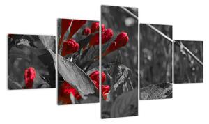 Červené květy - moderní obrazy (125x70cm)