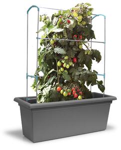 Plastkon Podpora pro růst rostlin pro Magnus 80 cm