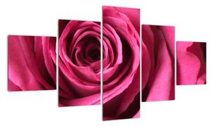 Obraz růžové růže (125x70cm)
