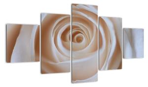 Obraz růže (125x70cm)