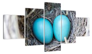 Obraz modrých vajíček v hnízdě (125x70cm)