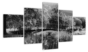 Černobílý most - obraz (125x70cm)