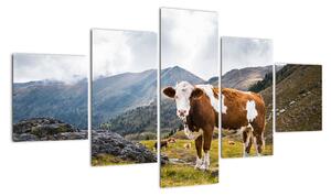 Obraz krávy na louce (125x70cm)