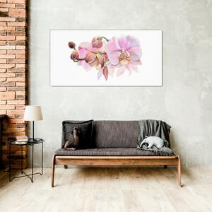 Obraz na skle Obraz na skle Akvarel orchidej květina