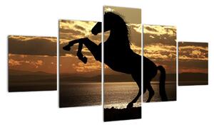 Obraz koně na zadních (125x70cm)