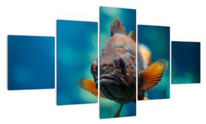 Obraz - ryba (125x70cm)
