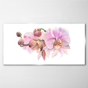 Obraz na skle Obraz na skle Akvarel orchidej květina
