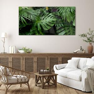 Obraz na skle Obraz na skle Tropické džungle listy