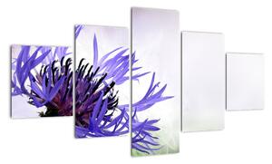 Obraz fialového květu (125x70cm)