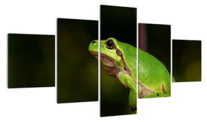 Obraz žáby (125x70cm)