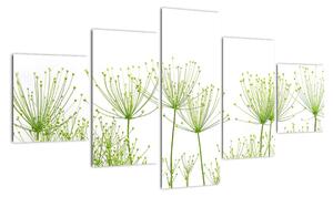 Obraz rostlin na bílém pozadí (125x70cm)