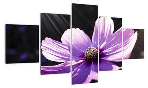 Obraz fialového květu (125x70cm)