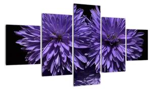 Obraz fialových květů (125x70cm)