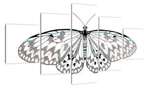 Černobílý motýl (125x70cm)