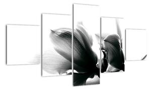 Obraz černobílých květů (125x70cm)
