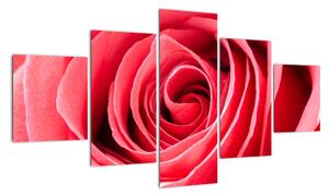 Obraz červené růže (125x70cm)