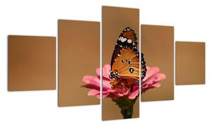 Obraz motýla (125x70cm)