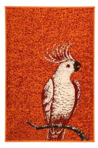 Hans Home | Kusový koberec Kakadu orange - 80x150