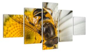 Obraz - detail včely (125x70cm)