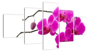 Obraz orchidejí na zeď (125x70cm)