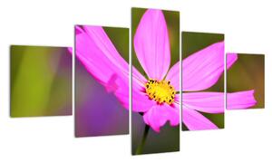 Obraz květiny (125x70cm)