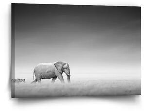 Sablio Obraz Slon a zebra - 60x40 cm