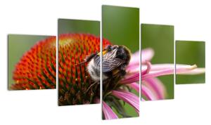 Obraz včely na květu (125x70cm)