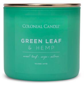 Vonná svíčka Green Leaf Hemp - 411g