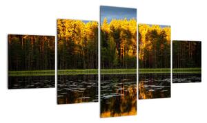 Obraz - podzimní krajina (125x70cm)