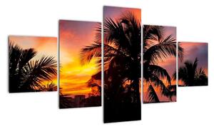 Obraz palmy na zeď (125x70cm)