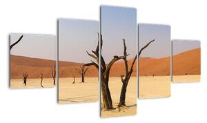 Obraz pouště (125x70cm)