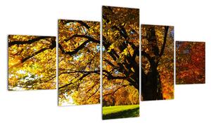 Obraz podzimní krajiny (125x70cm)