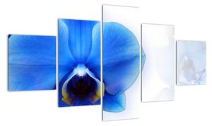 Obraz s orchidejí (125x70cm)