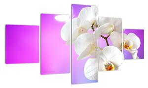 Obraz s orchidejí (125x70cm)