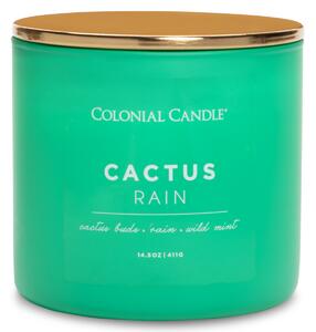 Vonná svíčka Cactus Rain - 411g
