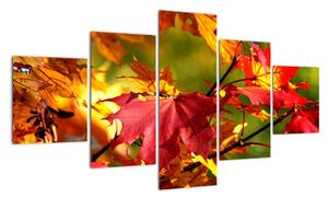 Podzimní listí, obraz (125x70cm)