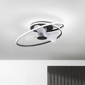 INTEC LED stropní ventilátor Storm, černý/bílý, Ø 77 cm tichý, stmívatelný, Černá, Obývací pokoj / jídelna, kov, Moderní