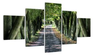 Údolí stromů, obrazy (125x70cm)