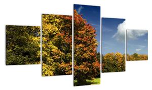 Podzimní krajina, obraz (125x70cm)