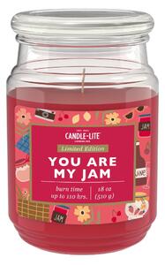 Vonná svíčka You Are My Jam - 510g