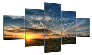 Západ slunce na poli - moderní obraz (125x70cm)