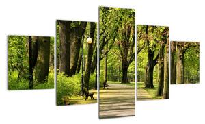 Cesta v parku - obraz (125x70cm)